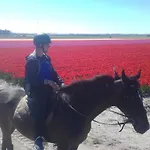 Boerderij Rust, In Pipowagens! Den Helder