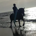 Boerderij Rust, In Pipowagens!