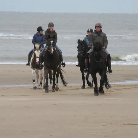 Boerderij Rust, In Pipowagens! Bed & Breakfast *