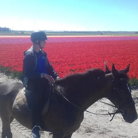 Boerderij Rust, In Pipowagens! Den Helder