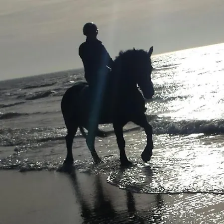 Boerderij Rust, In Pipowagens!