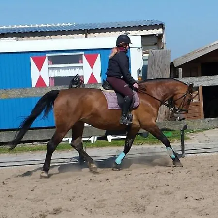 Boerderij Rust, In Pipowagens!