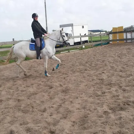 Bed & Breakfast Boerderij Rust, In Pipowagens! *