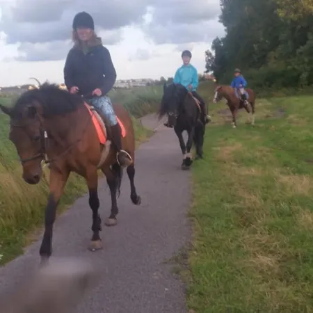 Frühstückspension Boerderij Rust, In Pipowagens! Den Helder