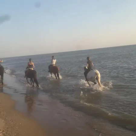 Bed & Breakfast Boerderij Rust, In Pipowagens! Den Helder