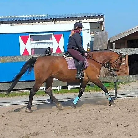 Boerderij Rust, In Pipowagens! * Den Helder