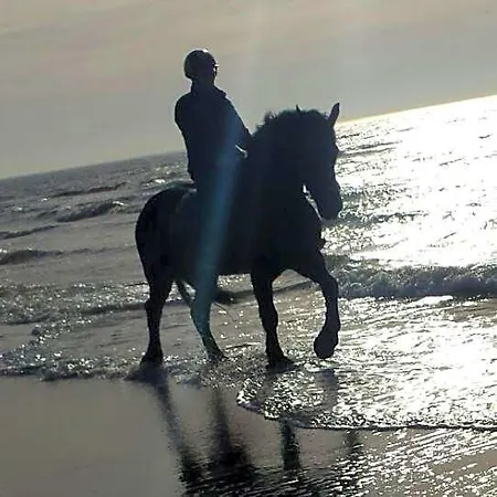 Boerderij Rust, In Pipowagens! Den Helder